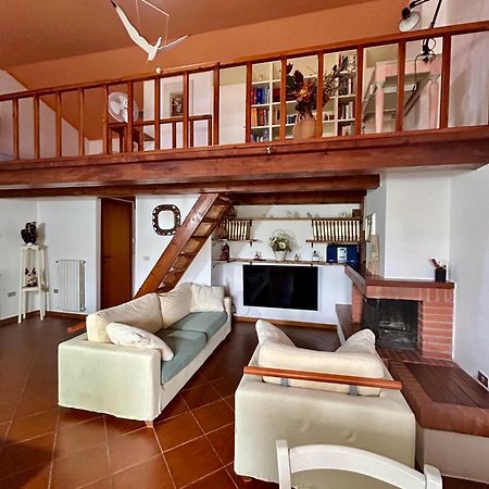 Amazing House 10 Min By Car From The Beach Olbia Zewnętrze zdjęcie