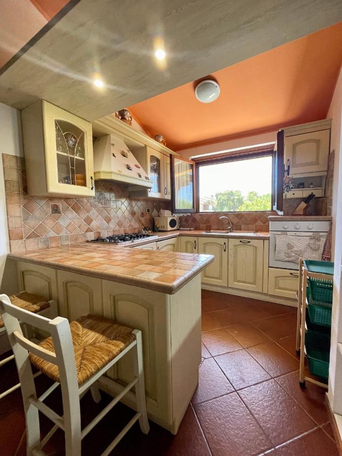 Amazing House 10 Min By Car From The Beach Olbia Zewnętrze zdjęcie