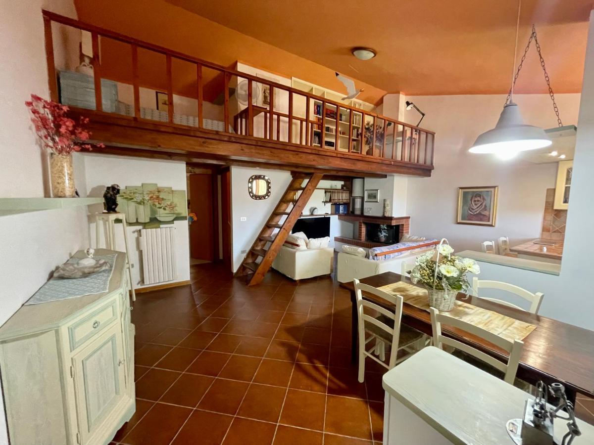 Amazing House 10 Min By Car From The Beach Olbia Zewnętrze zdjęcie