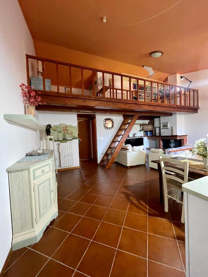 Amazing House 10 Min By Car From The Beach Olbia Zewnętrze zdjęcie